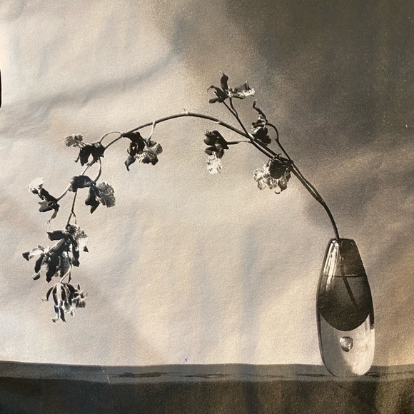 Robert Mapplethorpe Art T Shirt - Picture 4 of 6